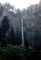 Multnomah Falls Lodge (Multnomah Falls, Oregon)