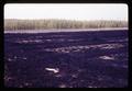 Wheat stubble burned at Jackson Farm, Corvallis, Oregon, 1966