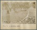 Orchard picking crew, circa 1910