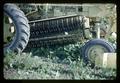 Closeup of mechanical bean harvesting at Edwards Farm, 1967