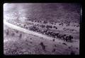 Seven wagons of grain hauled by 16 mules from Weatherford ranch, Gilliam County, Oregon, circa 1970