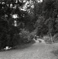 Woman riding  motorcycle on dirt road