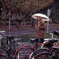 Student walking near bicycles