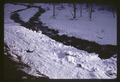 Snow on Salt Creek, Oregon, 1967