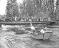 Boats approaching bridge