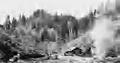 Lincon County Logging 1946