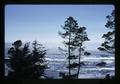 Pacific Ocean, Otter Crest, Oregon, circa 1973