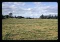 White clover field near Dayton, Oregon, May 1971