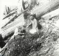 Two men working among downed logs