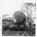 A cat has been used to load this large one-log load on this logging operation on Eckman Creek.  Gerald Smallwood is seen walking alongside his log truck.