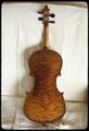 fiddle with cherry back, spruce top. 24 inches long. Made Sept. 15, 1917 by Matt H. Tolonen. (Property of Carl Tolonen)