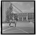 E. L. "Dad" Potter, Animal Husbandry professor, posing with a horse, May 1964