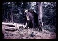 Elephants moving teak logs, Thailand, circa 1959