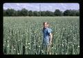 Sandra Gay in onion seed field near Junction City, Oregon, June 1971