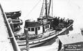 One haul of the net, Coos Bay, Marshfield, Oregon