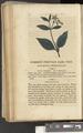 A New Family Herbal or Familiar Account of the Medical Properties of British and Foreign plants also their uses in Dying and the Various Arts arranged according to the Linnaean System [p150]