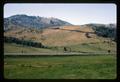 Unimproved land on hill in Douglas County, Oregon, 1966