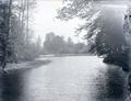 Pond and small dam