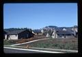 Housing development on former filbert orchard, Aurora, Oregon, November 1979