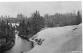 Four people standing on dune overlooking creek, forest in background. (possibly mouth of 10 Mile Creek)