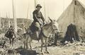 C. P. Cronk on his burro in burned over area (Hebo burn 1910)