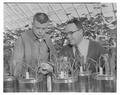 An unidentified student and faculty member in an OSC greenhouse.