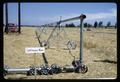 Continuous move irrigation system at Irrigation Fair, Jackson Farm, Corvallis, Oregon, 1966