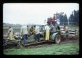 Workers harvesting lily bulbs near Wilsonville, Oregon, 1973