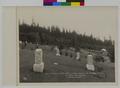 View of portion of Main Ave, Hillside, Magnolia, and Greenleaf sections; Mt. Scott Park cemetery, Portland, OR. (recto)