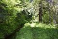 Glacier Irrigation Ditch, Middle Fork Irrigation District (Parkdale, Oregon)