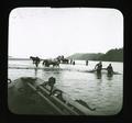 Dragging in the nets - Fishing on the Columbia River, Oregon