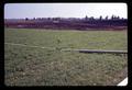 Sprinkler in foreground of burned field at Jackson Farm, Corvallis, Oregon, March 1969