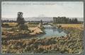 "Mt. Adams from Sunnyside Canal, Yakima Valley, Washington", 1916