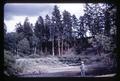 Joe Gray fishing, Philomath, Oregon, circa 1965