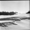 Different views of dunes