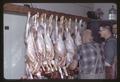 Lamb carcasses for white muscle studies, 1967