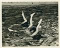 OSC students demonstrating synchronized swimming