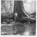 Man standing in front of large tree, on edge of river, looking up or down river.