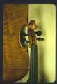 Finished violin--detail