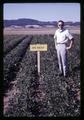 Larry Boersma in unheated lima bean field, Oregon State University, Corvallis, Oregon, circa 1969
