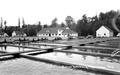 Salmon hatchery, Oakridge, Oregon