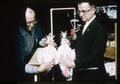 Dr. Robert W. Henderson and Dr. Paul E. Bernier examining chickens, 1963