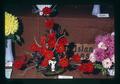 Red dahlia bouquet, Oregon State Fair, Salem, Oregon, circa 1973