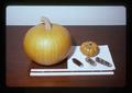 Pumpkin and corn fertilized with hummingbird and turkey droppings in Illinois, 1985