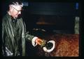 Dr. Al Ralston holding cud extracted from fistulated steer, Oregon State University, Corvallis, Oregon, circa 1968