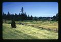 Rail fence along Interstate 5 before construction of West Linn - Oregon City exit, Oregon, circa 1973