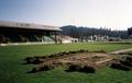 Hayward Field renovation