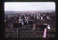 Cattle, Oregon, circa 1970