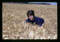 Margie Stiger gathering an armload of wheat, North Willamette Experiment Station, Oregon State University, Aurora, Oregon, July 1972