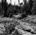 Upper Smith River after woody debris removal